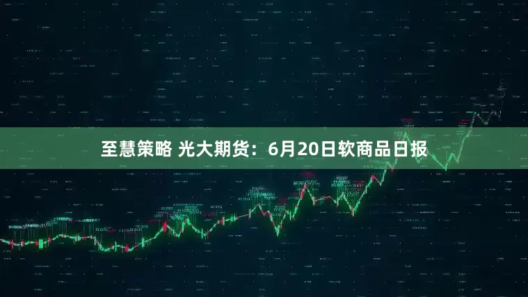至慧策略 光大期货：6月20日软商品日报