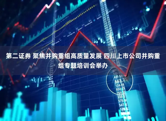第二证券 聚焦并购重组高质量发展 四川上市公司并购重组专题培训会举办