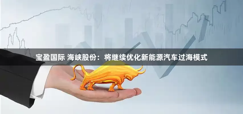 宝盈国际 海峡股份：将继续优化新能源汽车过海模式