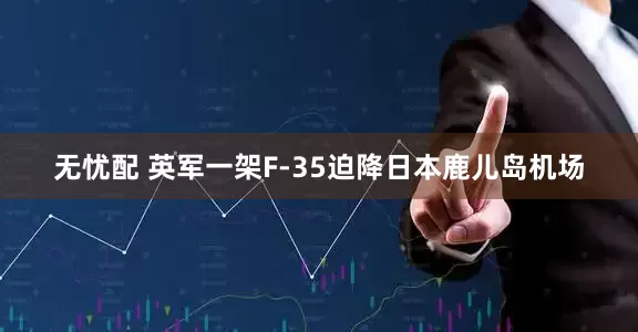 无忧配 英军一架F-35迫降日本鹿儿岛机场