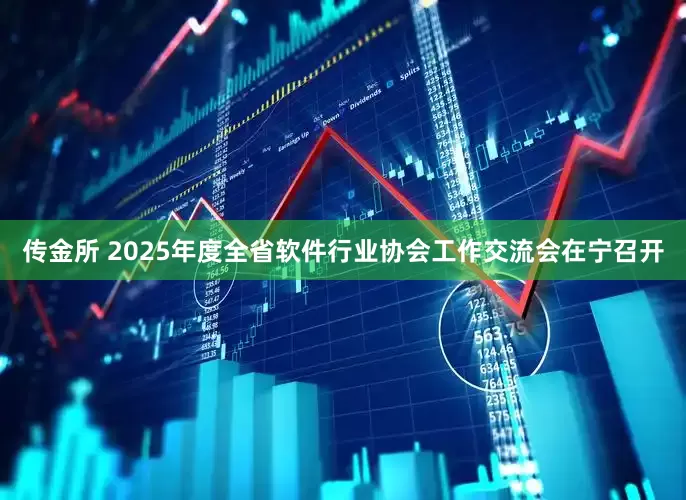 传金所 2025年度全省软件行业协会工作交流会在宁召开