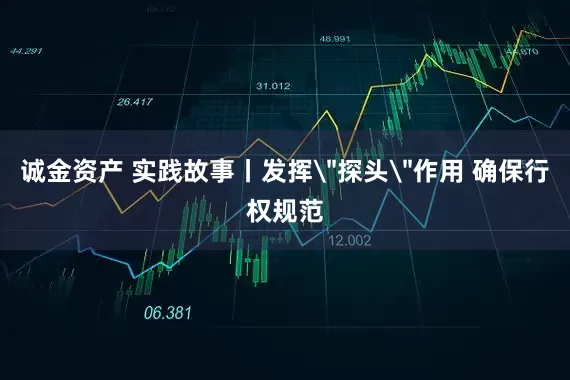 诚金资产 实践故事丨发挥