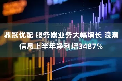 鼎冠优配 服务器业务大幅增长 浪潮信息上半年净利增3487%