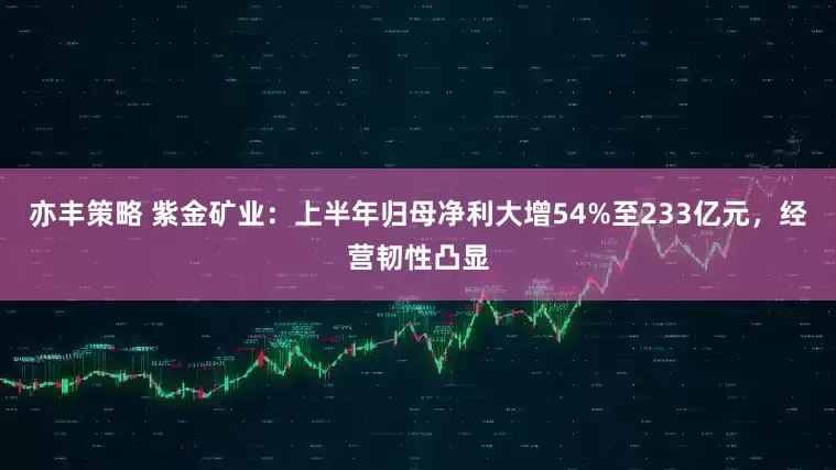 亦丰策略 紫金矿业:上半年归母净利大增54%至233亿元,经营韧性凸显